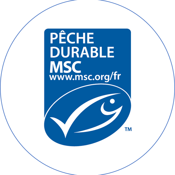 peche durable msc nicot concarneau